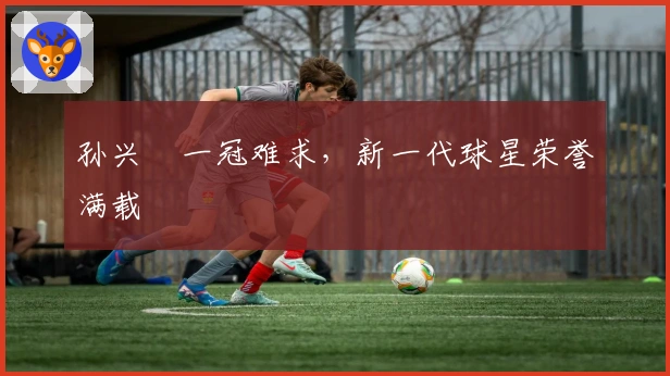 孙兴慜一冠难求，新一代球星荣誉满载